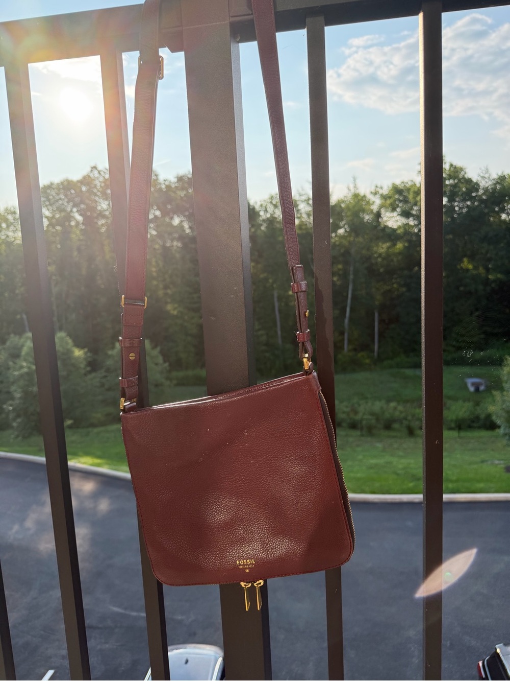 Fossil Women's Crossbody Bag in Burgundy